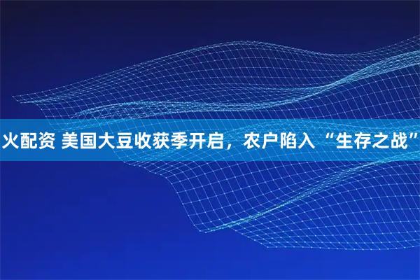 火配资 美国大豆收获季开启，农户陷入 “生存之战”