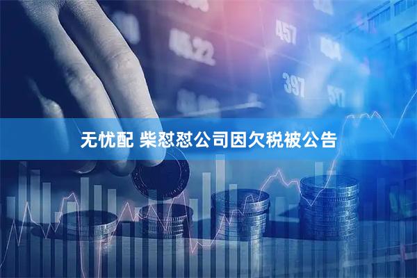 无忧配 柴怼怼公司因欠税被公告