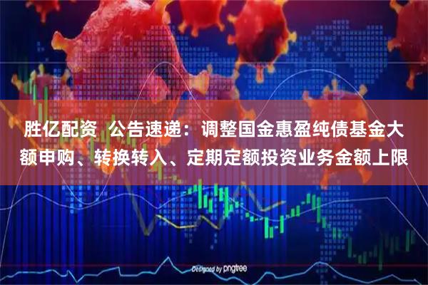 胜亿配资 公告速递:调整国金惠盈纯债基金大额申购、转换转入、定期定额投资业务金额上限