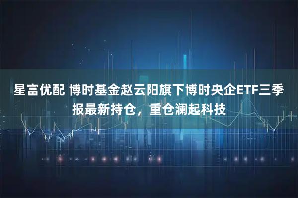 星富优配 博时基金赵云阳旗下博时央企ETF三季报最新持仓，重仓澜起科技