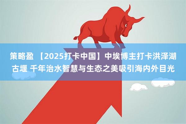 策略盈 【2025打卡中国】中埃博主打卡洪泽湖古堰 千年治水智慧与生态之美吸引海内外目光