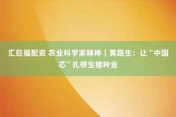 汇巨福配资 农业科学家精神｜黄路生：让“中国芯”扎根生猪种业