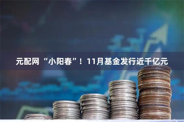 元配网 “小阳春”！11月基金发行近千亿元